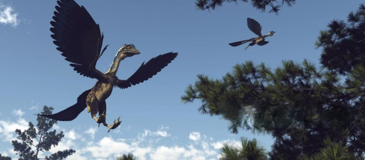 Ilustración de dos ejemplares de la especie Archaeopteryx, unas aves primitivas con características intermedias entre los dinosaurios emplumados y las aves modernas