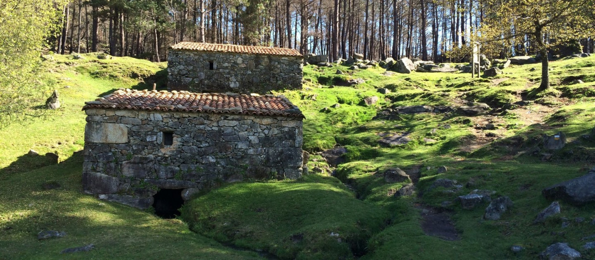 Algunos de los molinos que se pueden visitar en Galicia