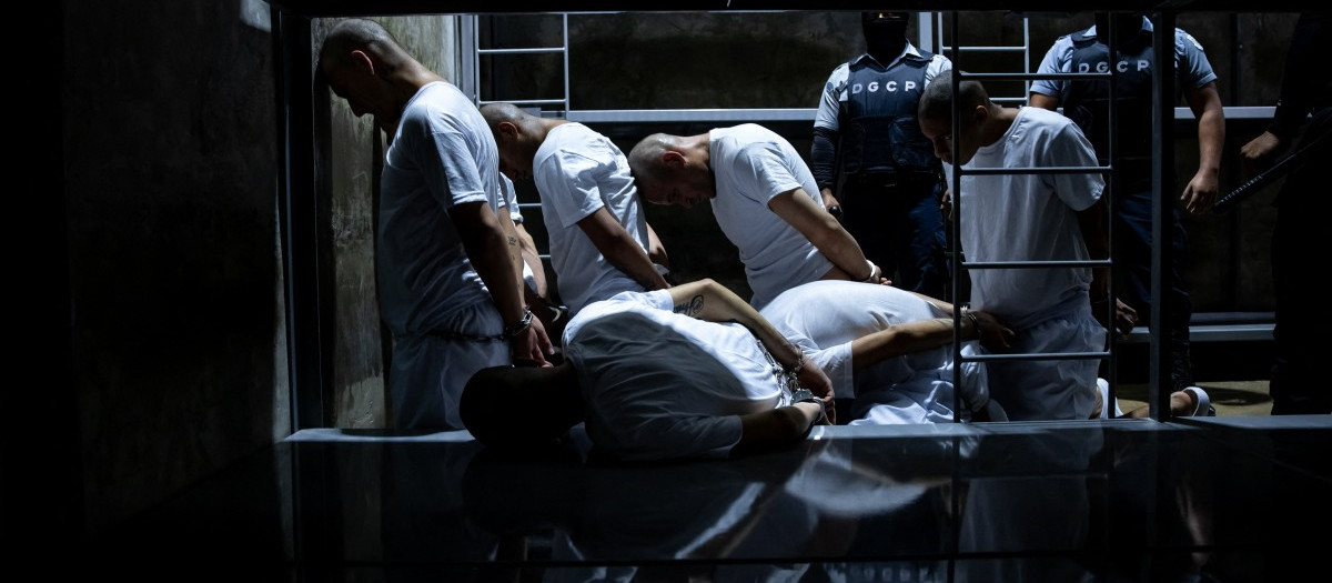 Miembros de la organización criminal venezolana Tren de Aragua y de la pandilla salvadoreña MS-13 a su llegada al CECOT en la ciudad de Tecoluca, El Salvador