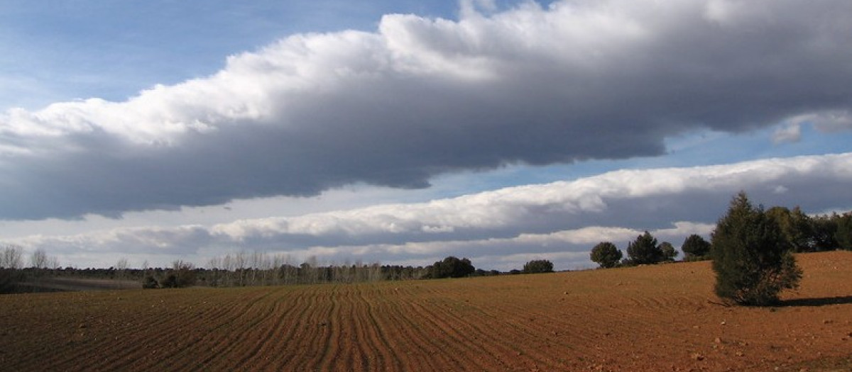 Campo de Montiel (Ciudad Real)