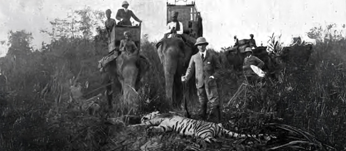 La verdadera historia de los tigres de la India