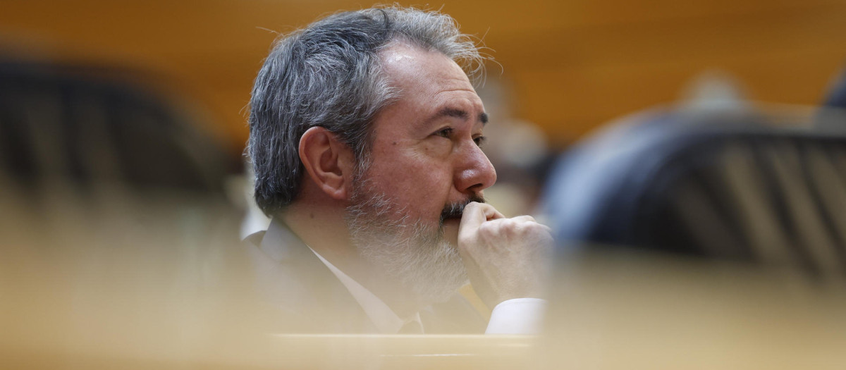 El portavoz del Grupo Socialista en el Senado, Juan Espadas