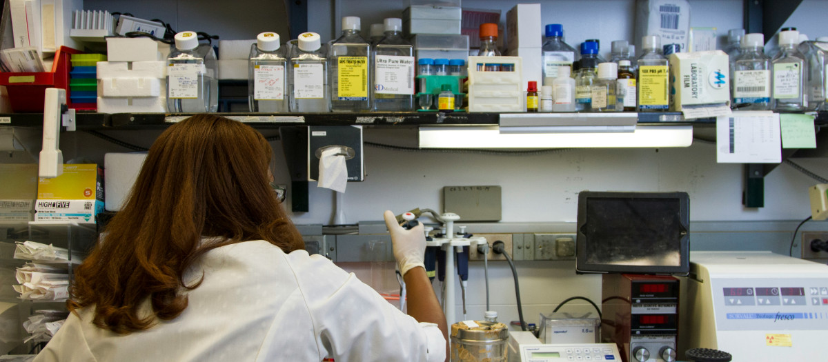 Laboratorio