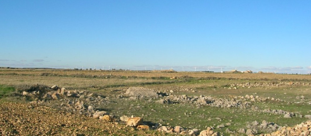 Navajos pedregosos del Campo de Montiel
