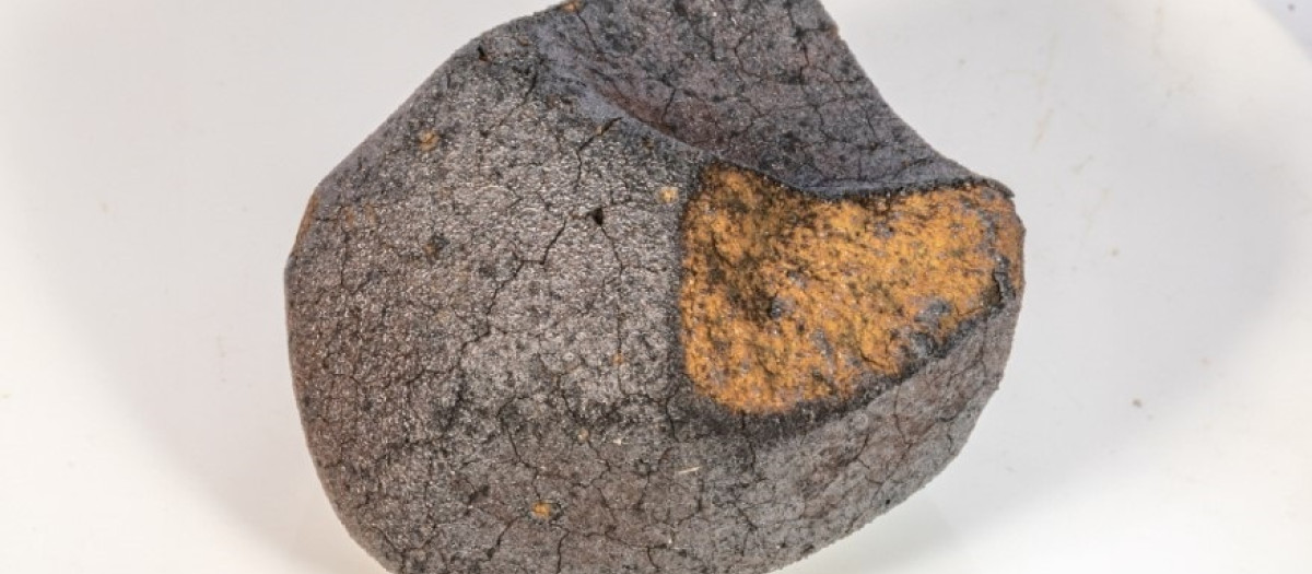 Meteorito recogido en Alemania en 2019. La muestra es una rara condrita carbonácea de tipo C1 y contiene minerales que sólo se forman en presencia de agua