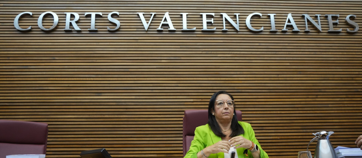 La presidenta de las Cortes Valencianas, Llanos Massó, en una imagen de archivo