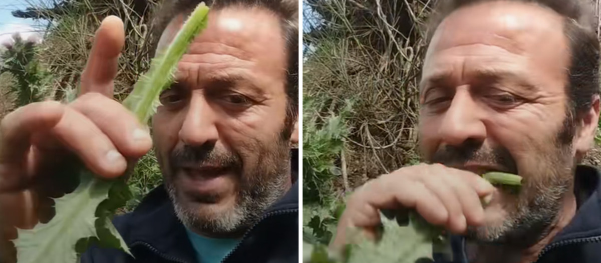 Juan comiéndose una ortiga