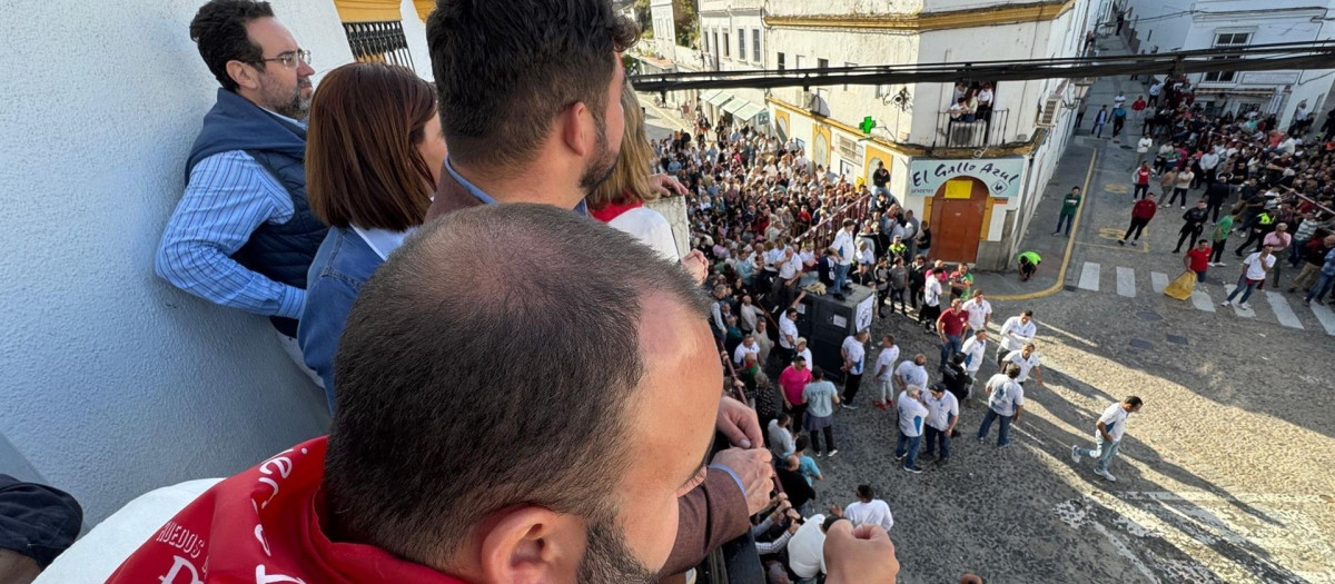 Suelta de toros en Arcos de la Frontera