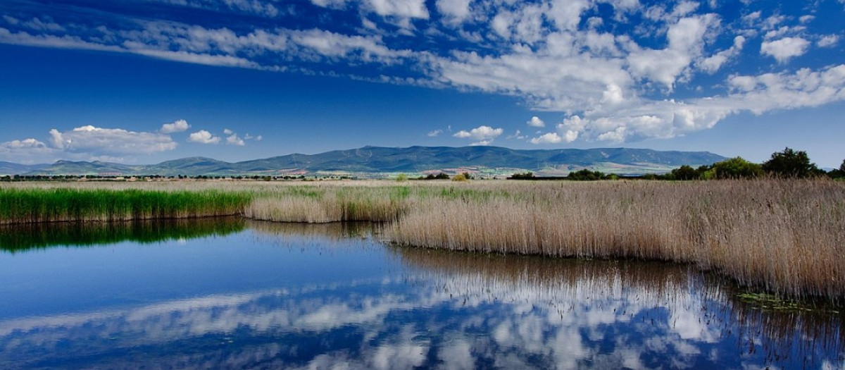 Tablas de Daimiel