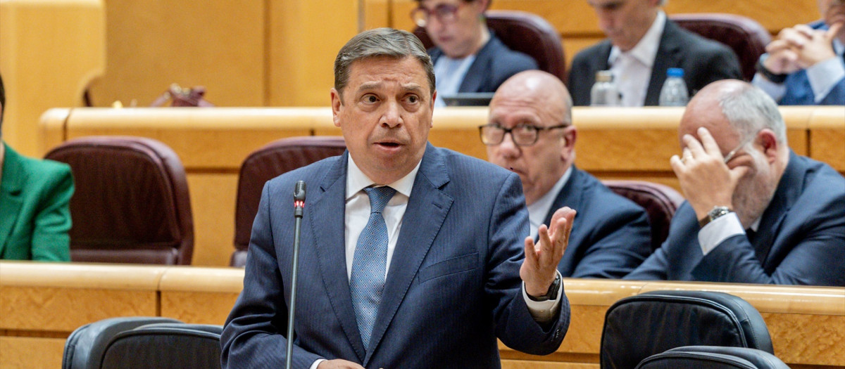 El ministro de Agricultura, Pesca y Alimentación, Luis Planas, durante una sesión de control al Gobierno, en el Senado