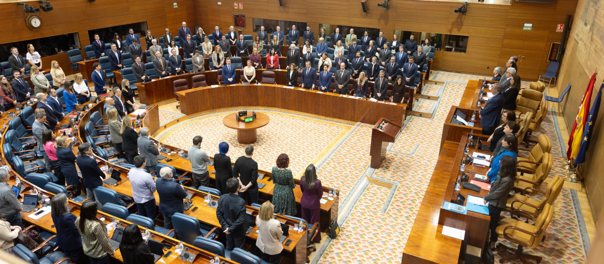 Pleno en la Asamblea de Madrid