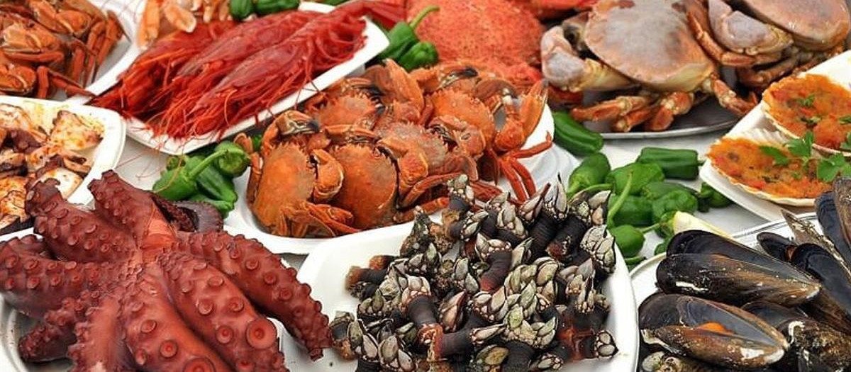 Las razones por las que el marisco gallego es considerado el mejor