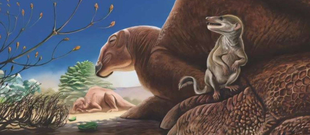 Reconstrucción en vida de la Formación Baynshire, Mongolia, que muestra a Ravjaa ishiii (primer plano), una especie de mamífero recientemente descubierta, representada en el pie del dinosaurio hadrosáurido Gobihadros
