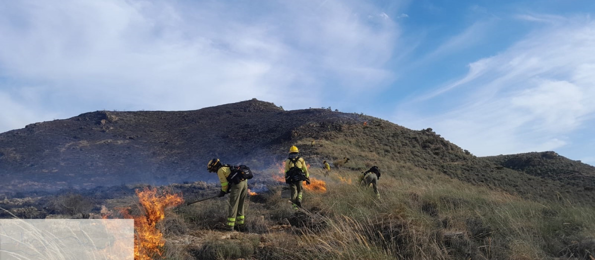 Intervención de Infoca durante la pasada tarde

REMITIDA / HANDOUT por INFOCA
Fotografía remitida a medios de comunicación exclusivamente para ilustrar la noticia a la que hace referencia la imagen, y citando la procedencia de la imagen en la firma
03/5/2025