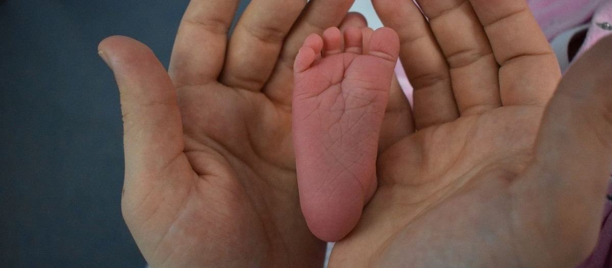 Imagen de un recién nacido