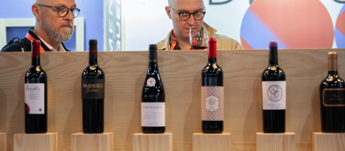 La Feria Nacional del Vino (FENAVIN 2025)