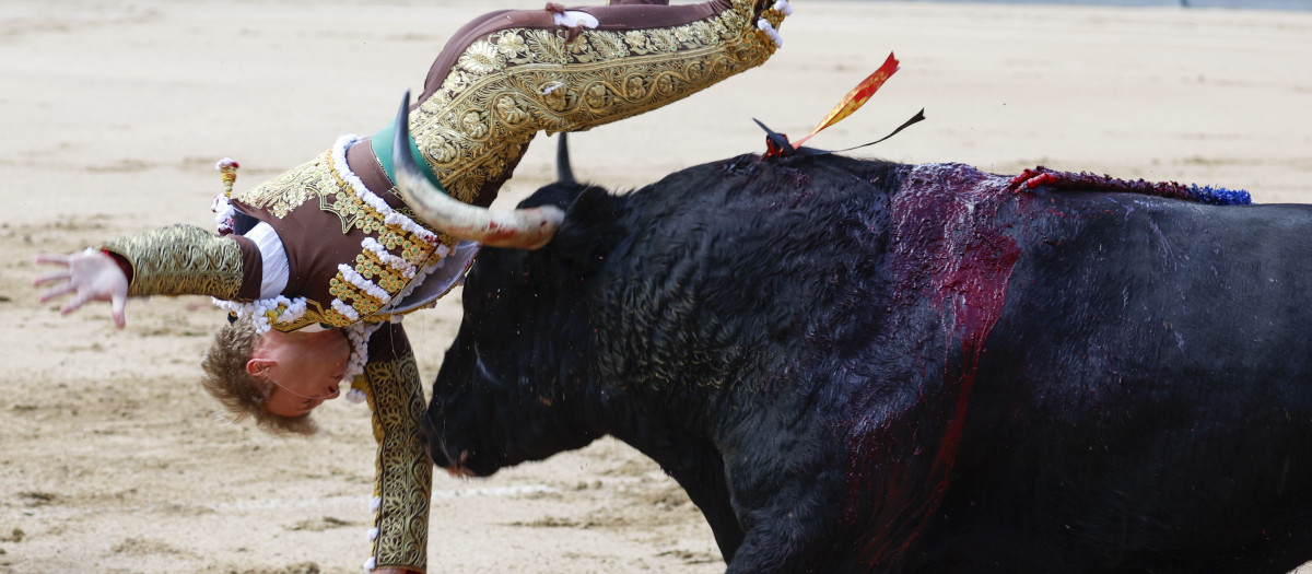 El diestro Clemente, que confirma alternativa, sufre una cogida en la corrida de la Feria de San Isidro