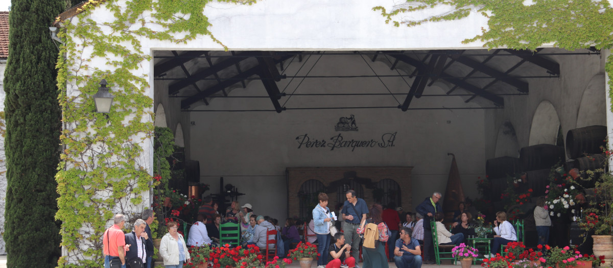 Un ejemplo de los Patios de Bodega de Montilla
