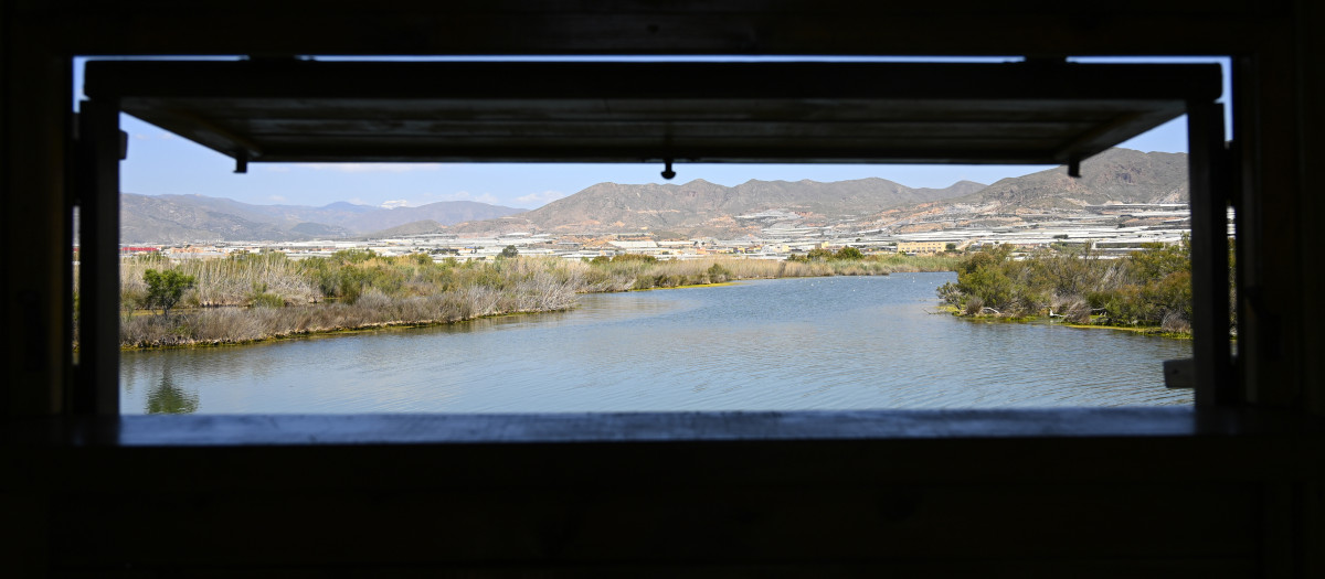 Imagen de la Reserva Natural Albufera de la localidad almeriense de Adra, donde la Junta de Andalucía va a destinar una inversión cercana al millón de euros para reforzar su conservación y con actuaciones dirigidas a la restauración ambiental, la recuperación del equipamiento público y la protección del perímetro del humedal frente a la entrada de especies invasoras como jabalíes o zorros. EFE / Carlos Barba