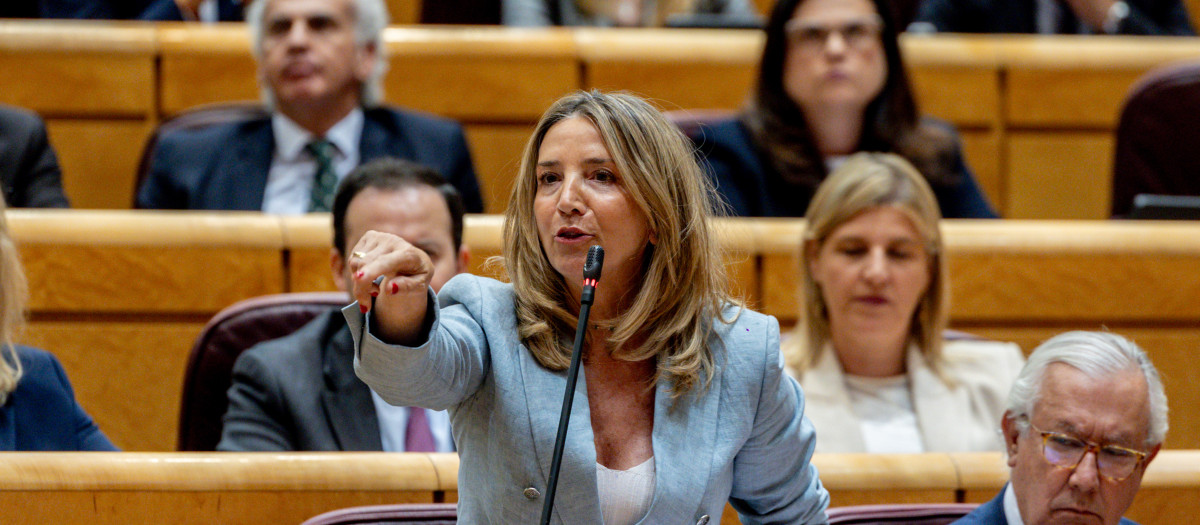 La portavoz del PP en el Senado, Alicia García
