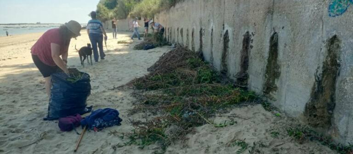 Un hombre 'recoge uñas de gato' en Sanlúcar