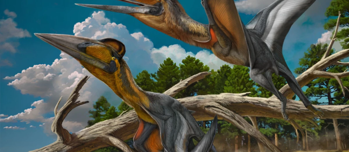Ilustración del dinosaurio Nipponopterus mifunensis