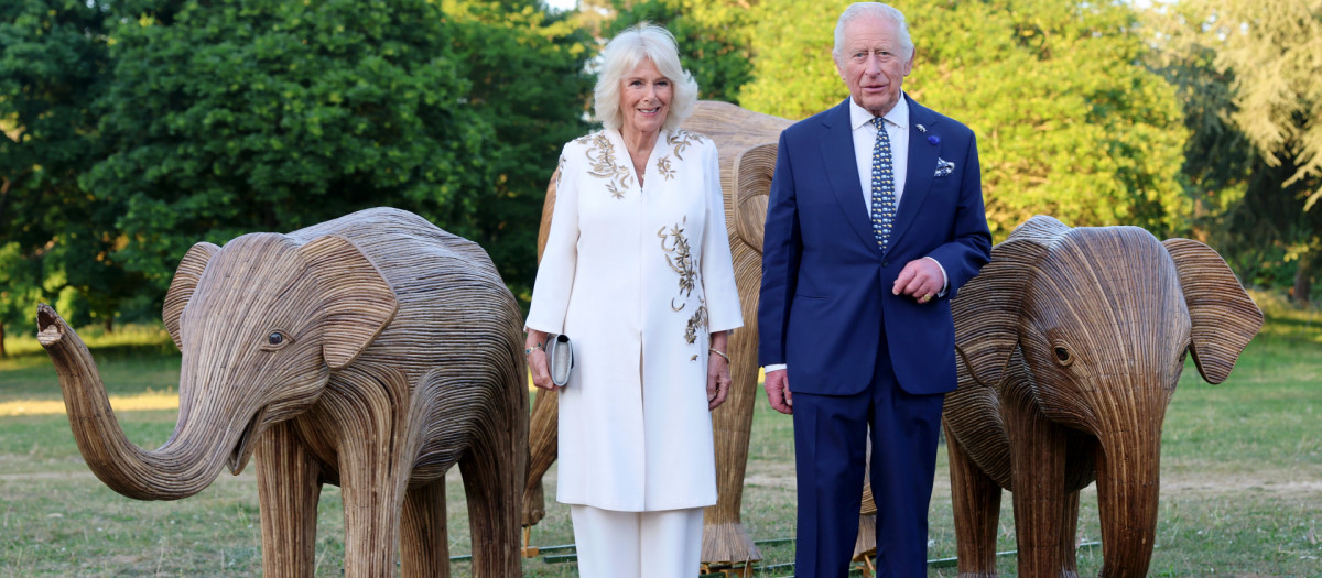 Los Reyes Carlos y Camilla