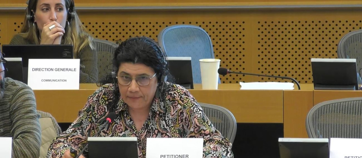 La presidenta de la AEB, Ana Losada, durante su comparecencia en el Parlamento Europeo