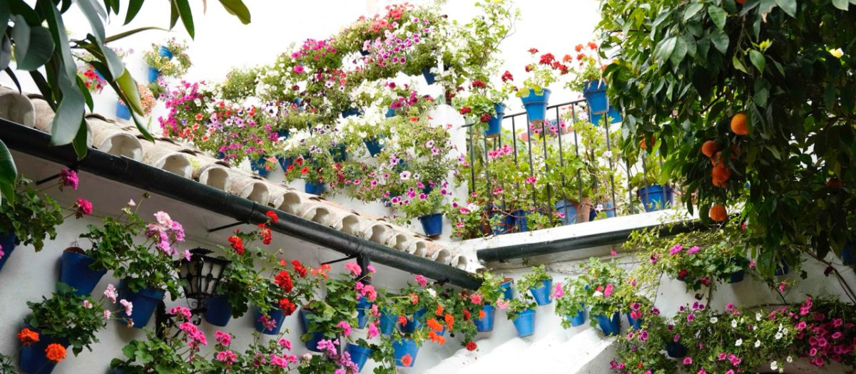 Patio de la calle Tinte 9, ganador del concurso en su modalidad de Arquitectura Antigua