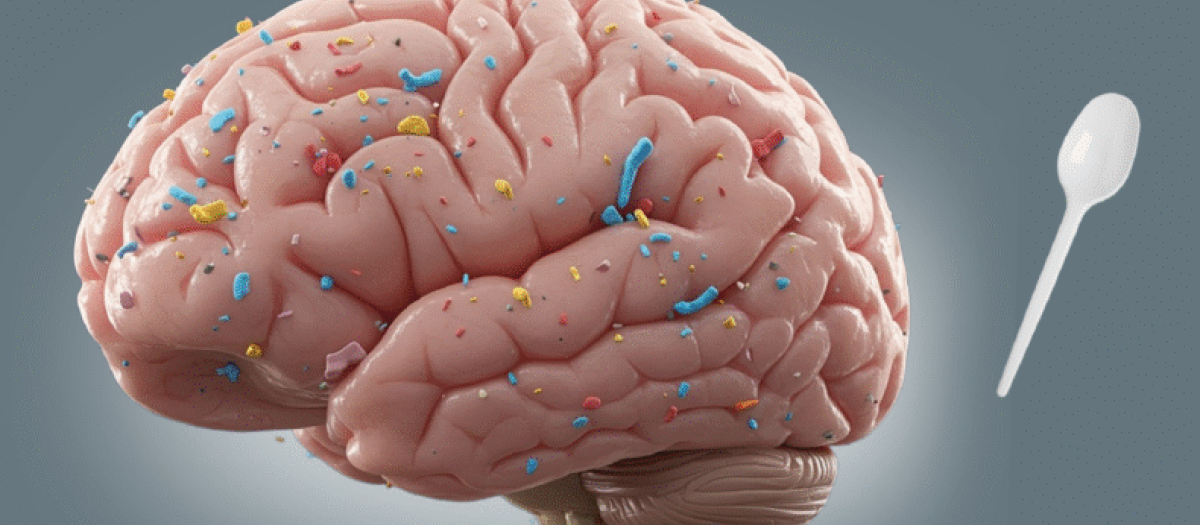 Una cuchara al lado de un cerebro salpicado por microplásticos