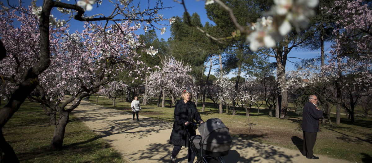 Para esta edición se incluirán el paseo por la Quinta de los Molinos. Así como la incorporación de salidas a distritos periféricos como Villa de Vallecas, Tetuán, San Blas-Canillejas, Hortaleza, Puente de Vallecas y Vicálvaro.