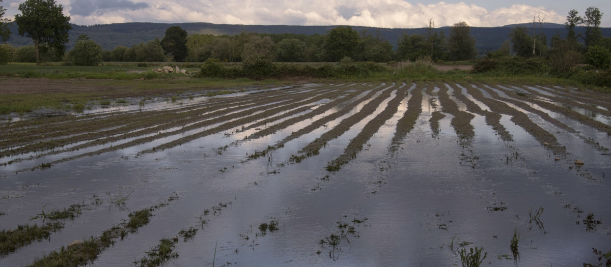 Parcela inundada en Orense