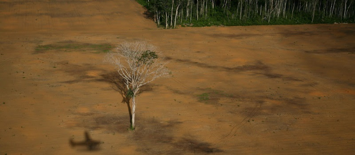 Deforestación del Amazonas en una zona de plantaciones de soja