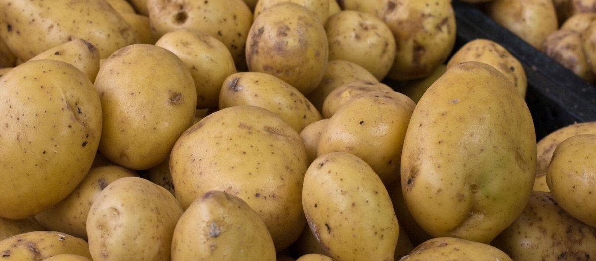 Patatas