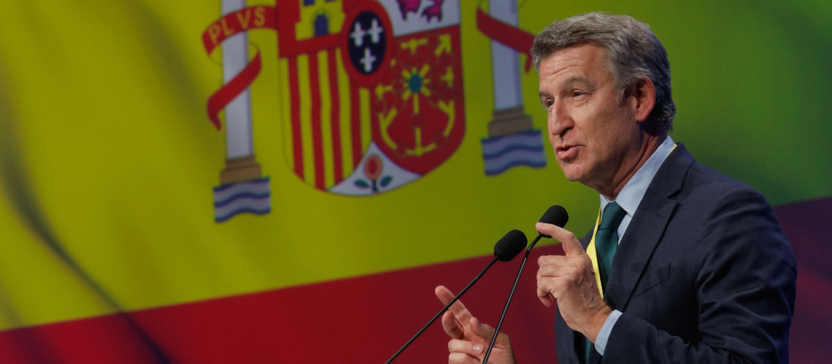 El líder del PP, Alberto Núñez Feijóo