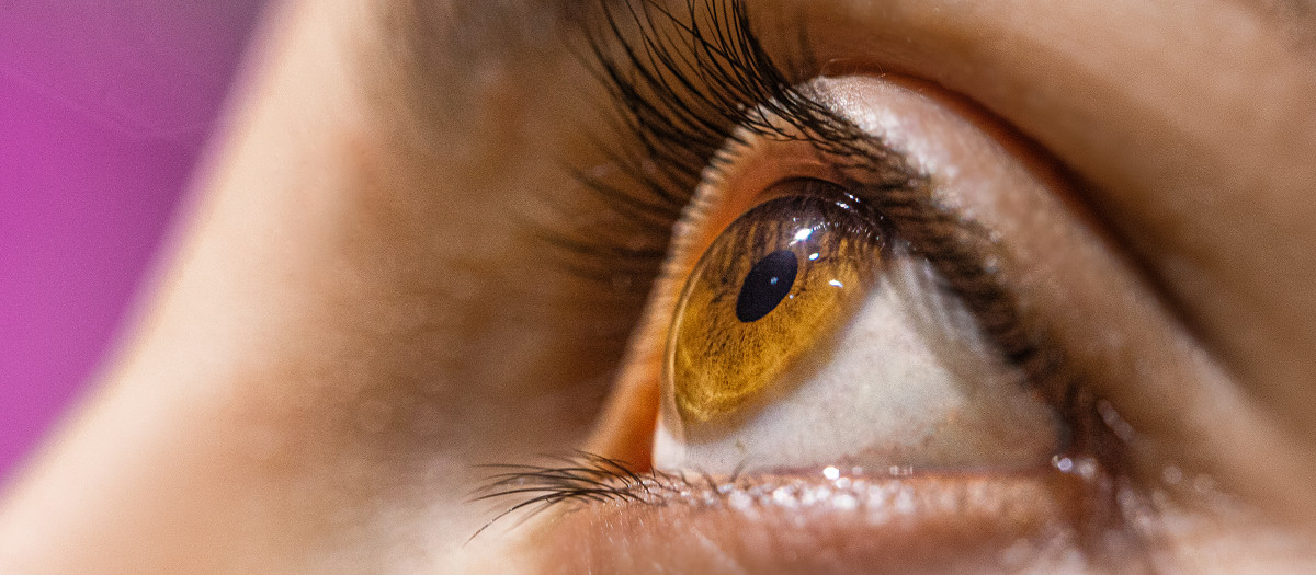 Ojos de color avellana