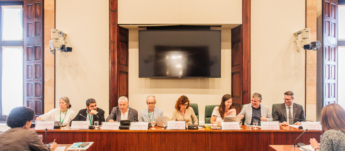 Los ex responsables de la consejería de Trabajo, Asuntos Sociales y Familias y el exdirector de la DGAIA han comparecido en el Parlament
