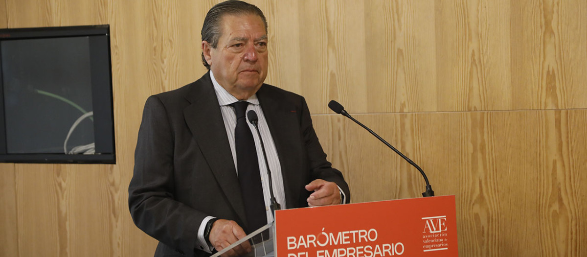 El presidente de la AVE, Vicente Boluda