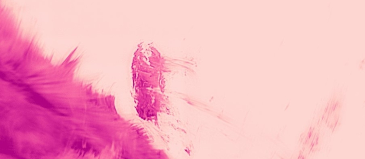 Esta imagen de una prominencia sobre la superficie solar es una instantánea de una película time-lapse de 4 minutos que revela su rápida, fina y turbulenta reestructuración con un detalle sin precedentes