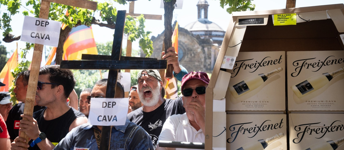 Concentración de los trabajadores de Freixenet ante el Parlament contra el ERE.

DAVID ZORRAKINO - EUROPA PRESS
29/5/2025