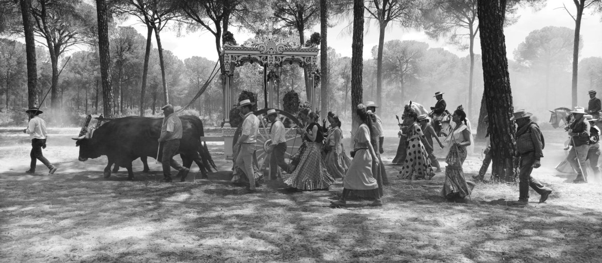 Romería de El Rocío