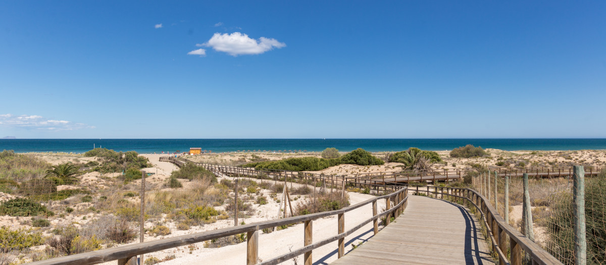 Playa Carabassí, Santa Pola, Bajo Vinalopó (Alicante)