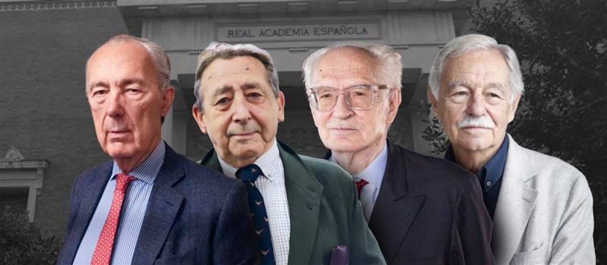 Luis Alberto de Cuenca, Alfonso Ussia, Andrés Amorós o Eduardo Mendoza, grandes escritores que deberían ser académicos