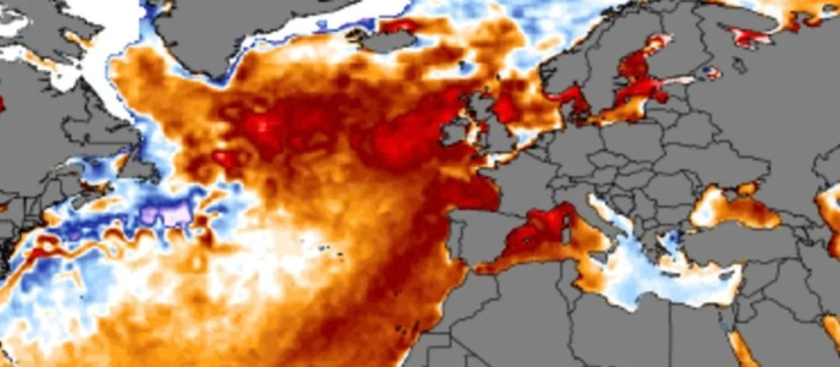 Anomalía de temperaturas en el Atlántico Norte en el verano de 2023