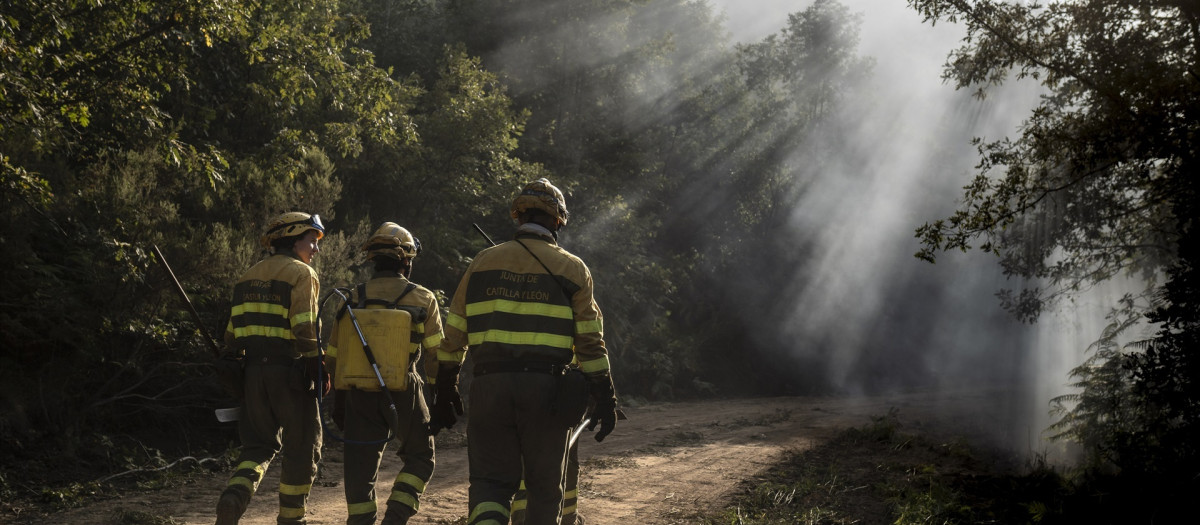 Varios bomberos trabajan en el monte en Brañuelas, León