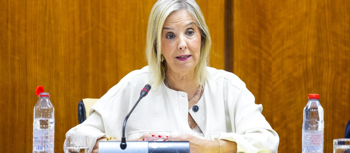 La fiscal superior de Andalucía, Ana Tárrago, en una imagen de archivo