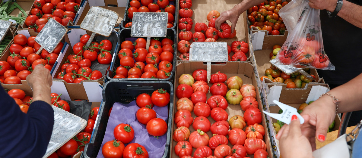 Cajas de tomates en un mercado de la Comunidad de Madrid