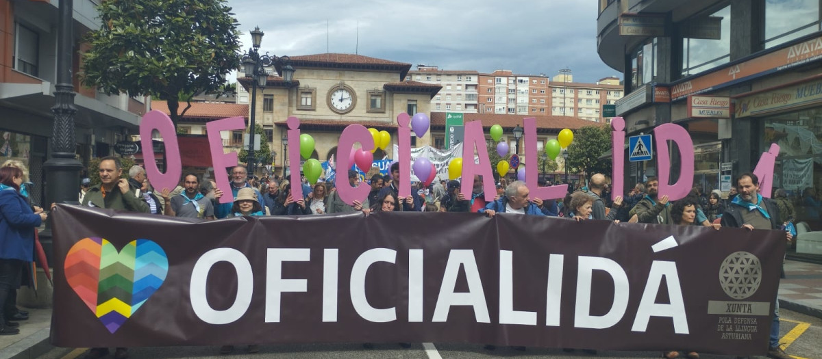 Manifiestación por la oficialidad del asturiano y el eonaviego