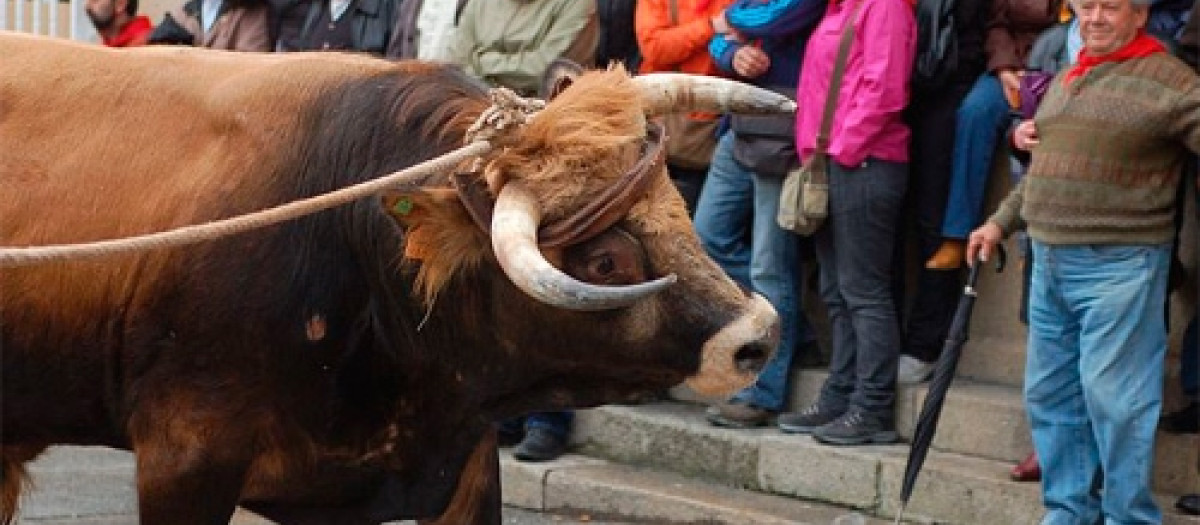 Uno de los pueblos más bonitos de Galicia celebra una fiesta nacida de una leyenda