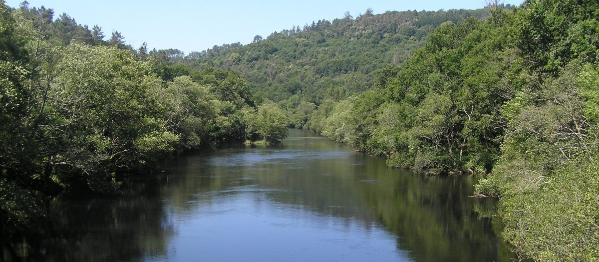 Río Ulla a su paso por Touro